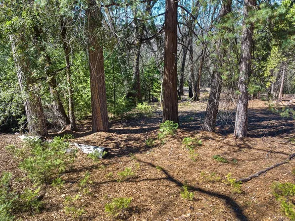 12956 Wild Life Ln, Grass Valley, CA 95945