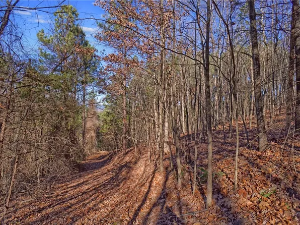 Cloud Mountain Rd, Dover, AR 72837