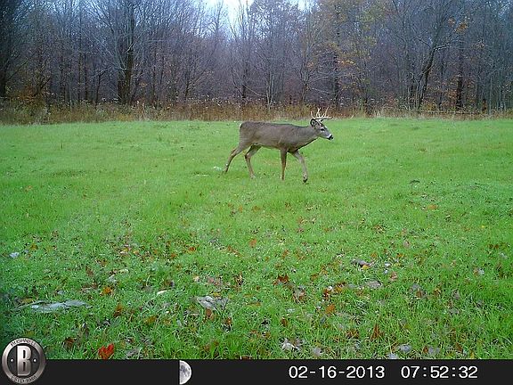 3rd image of 0 Sassafras Dr