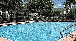 4th image of 1400 Gandy Blvd N Unit 404