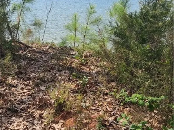 922 Skipjack Rd Lot 122A, Kinsale, VA 22488