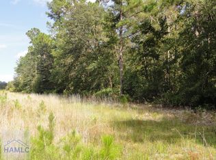 7 Tibet Hwy SE, Ludowici, GA 31316