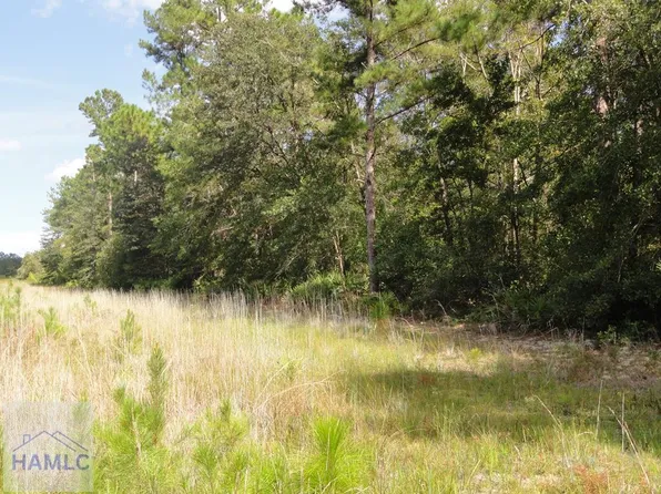7 Tibet Hwy SE, Ludowici, GA 31316