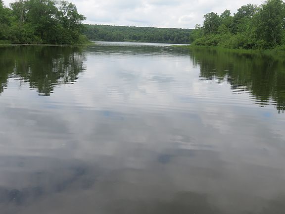 Deer lake