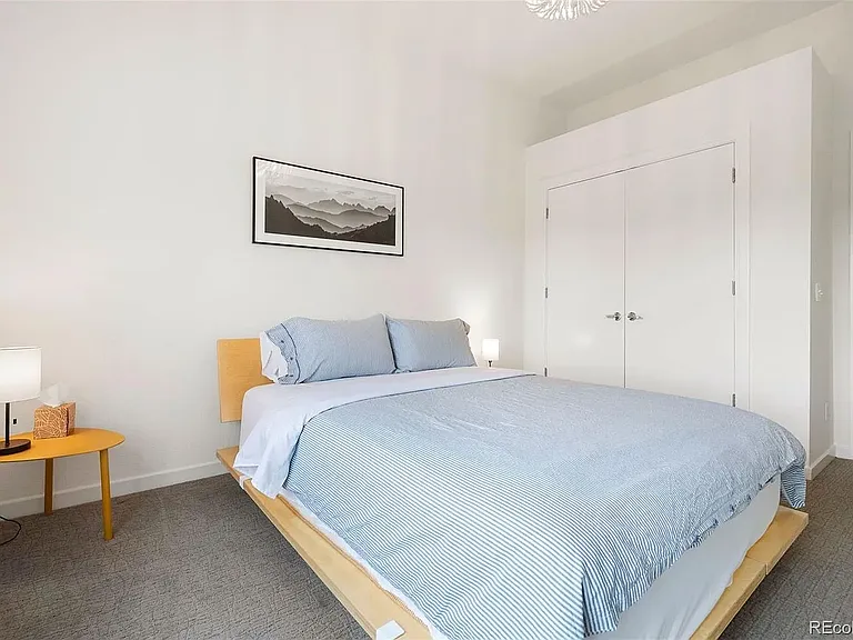 2900 N Downing St #311 — Photo 21