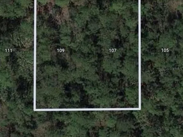 109 JAPONICA AVENUE, INDIAN LAKE ESTATES, FL 33855