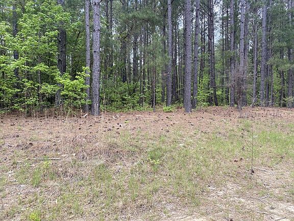 3rd image of 12 Whisper Lake Dr