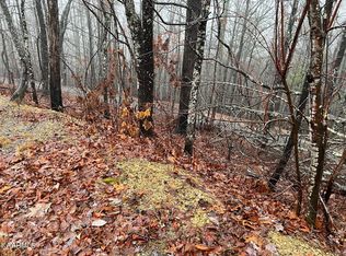 LOT 10 Grey Fox Run, Sevierville, TN 37862