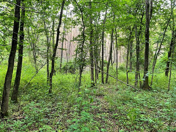 2nd image of Highway 271