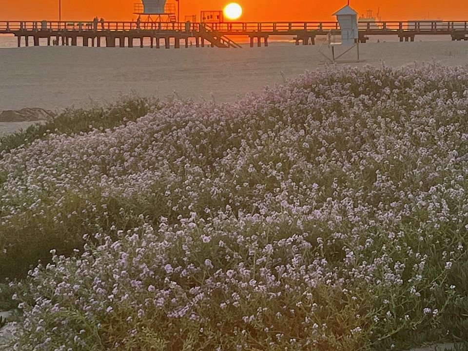 Port Hueneme Pier at sunset