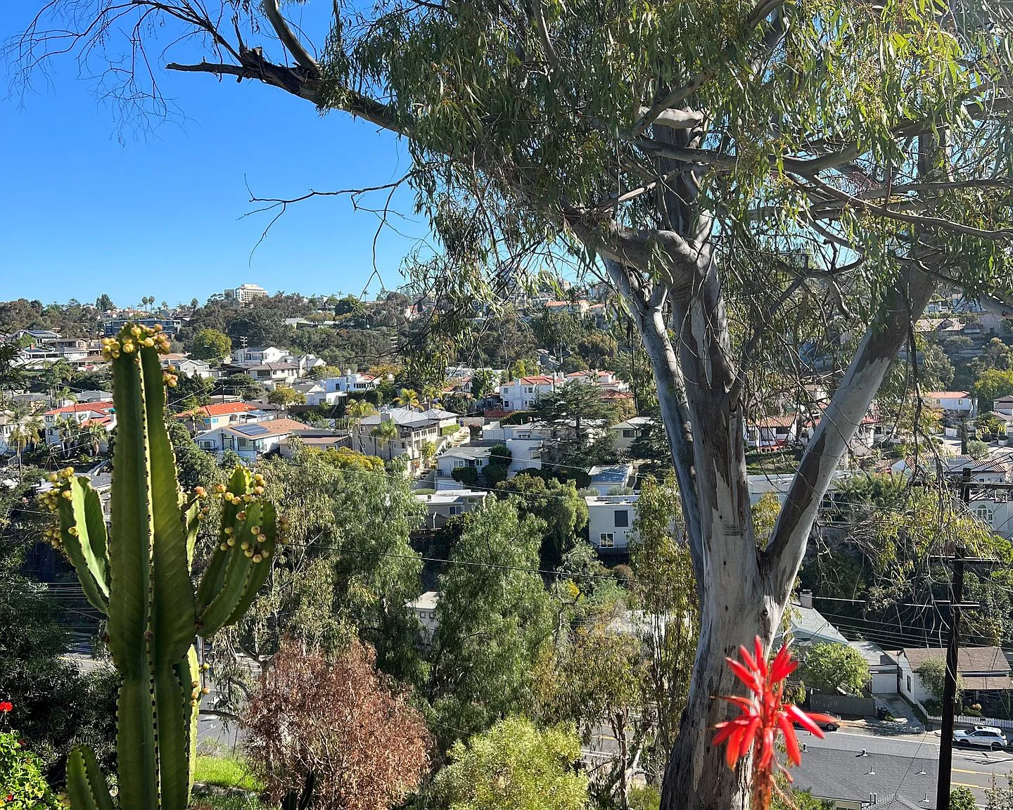 2810 Union — Photo 3