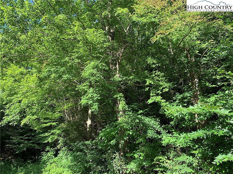 2nd image of TBD Hogum Hollow Road