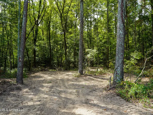 Johns Shiloh Rd, Brandon, MS 39042
