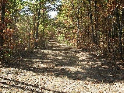 2nd image of 23210 Bakersville Rd