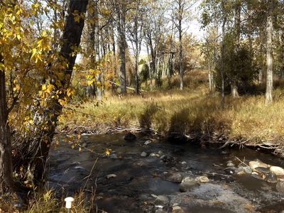 Mill Creek & Toledo Mine Rd, Sheridan, MT, 59749