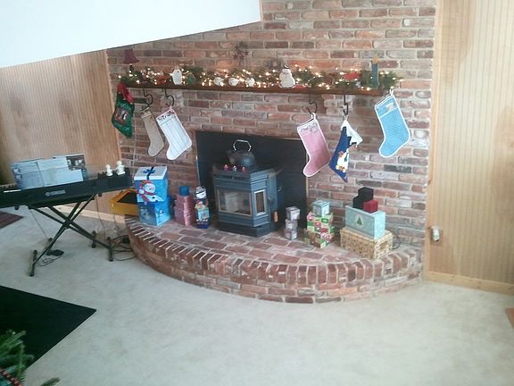 Fireplace pellet stove
