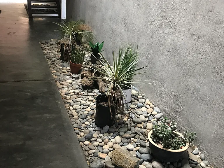 7 Garden Ct #4 — Photo 14