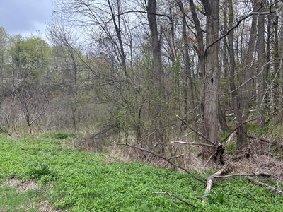 0 Ram Rd, Morrisonville, NY, 12962