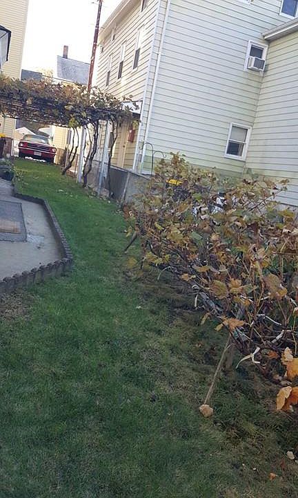 2nd image of 145 Beach St