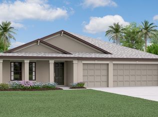 14032 Arbor Pines Dr, Riverview, FL 33579