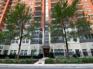 1250 S Indiana Ave APT 206, Chicago, IL 60605