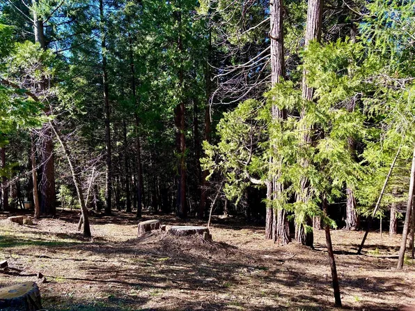 Park Woods Dr, Pollock Pines, CA 95726