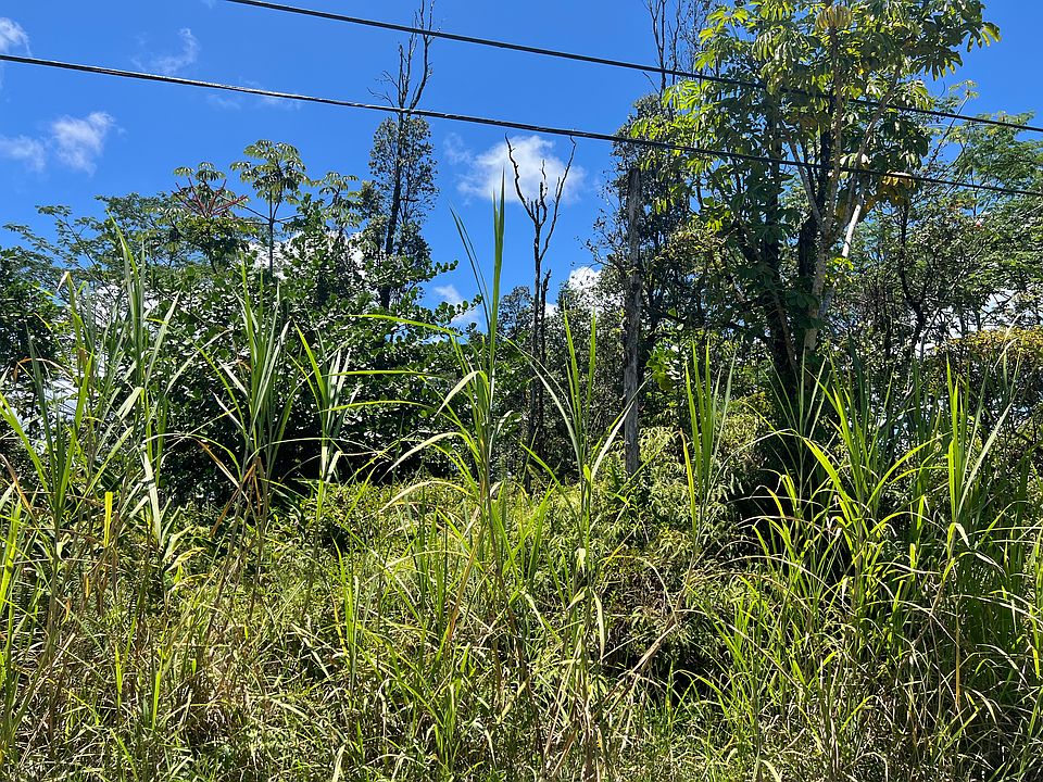 2nd image of 13th Ave Lot 519