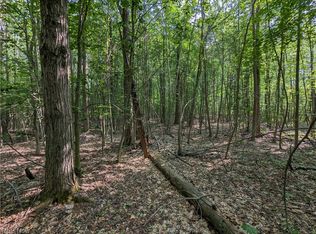 Belle Rd, Geneva, OH 44041