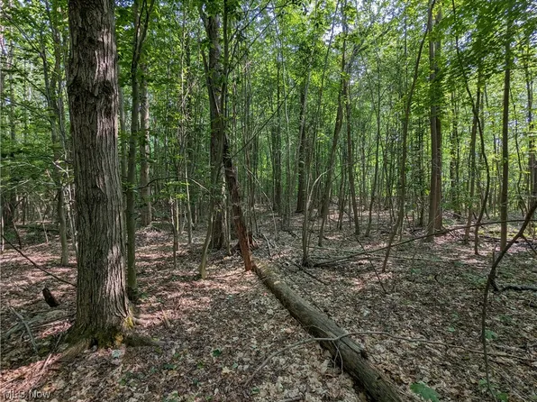 Belle Rd, Geneva, OH 44041