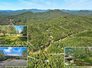 136 Ross Rd, Mineral Bluff, GA 30559