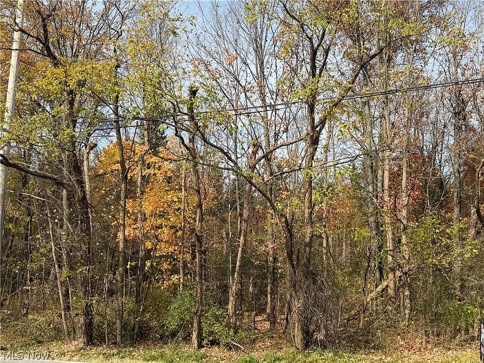 1st image of Butternut Rd