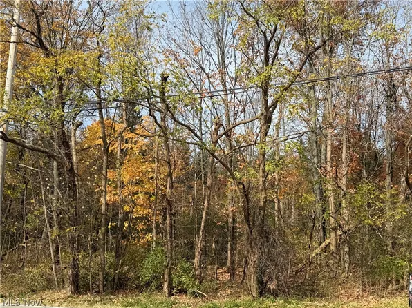 Butternut Rd, Burton, OH 44021