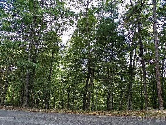 2nd image of 100 Black Bear Ridge Trl