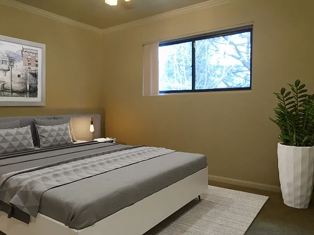 1 Bed 1 Bath