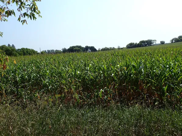 Xxxe Fannon Ave, Delano, MN 55328