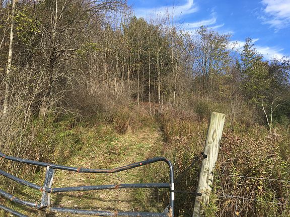 Access to trails