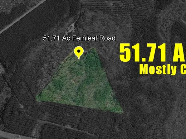 1345 Fernleaf Rd, Riceboro, GA 31323