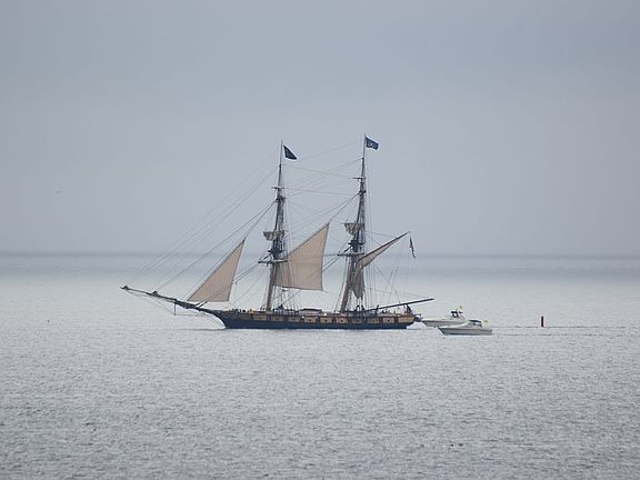 Backyard view of Niagara