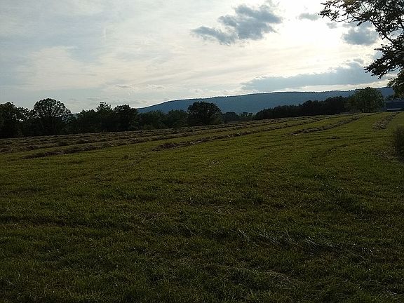 5th image of 35291 Snickersville Tpke