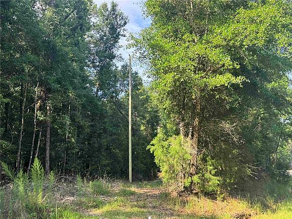 4th image of 9050 Rice Creek Rd