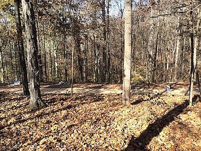5th image of River Bluff Ln