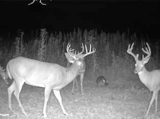 Emerick Rd, Kensington, OH 44427