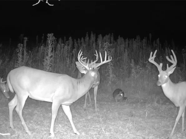 Emerick Rd, Kensington, OH 44427