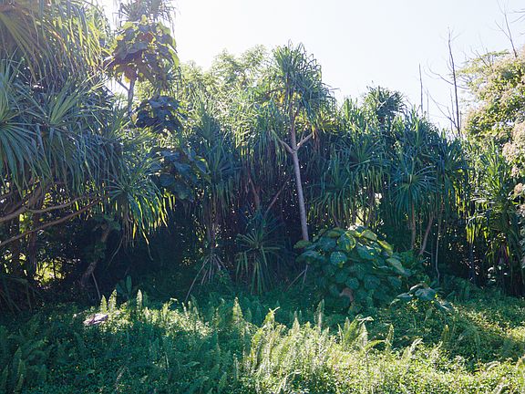 5th image of Palani St Lot 1753
