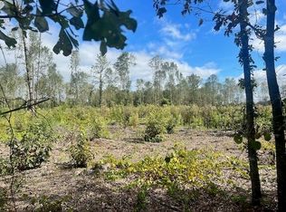 LOT 1 S Sparta Davisboro Rd, Warthen, GA 31094