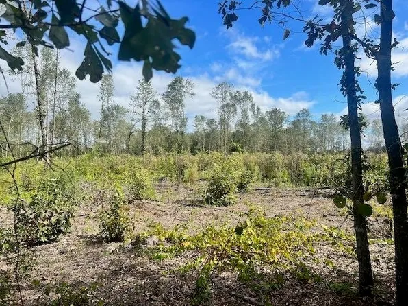 LOT 1 S Sparta Davisboro Rd, Warthen, GA 31094