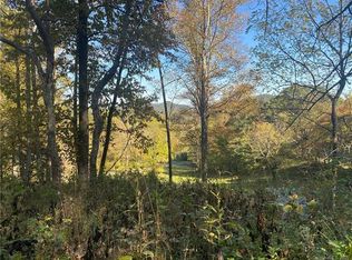 99999 Margaret Dr LOT 4, Leicester, NC 28748