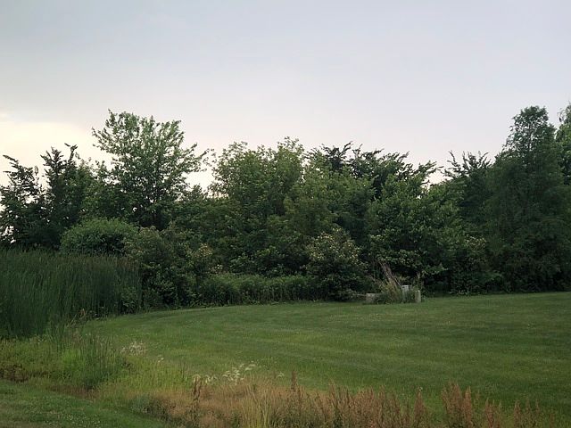 2nd image of 16230 S Peppermill Trl