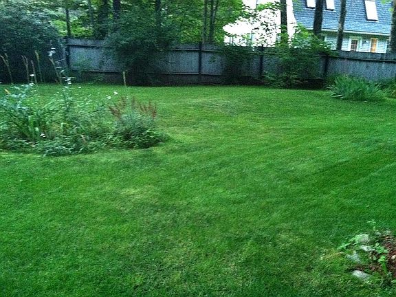 2nd image of 16 Aerie Dr