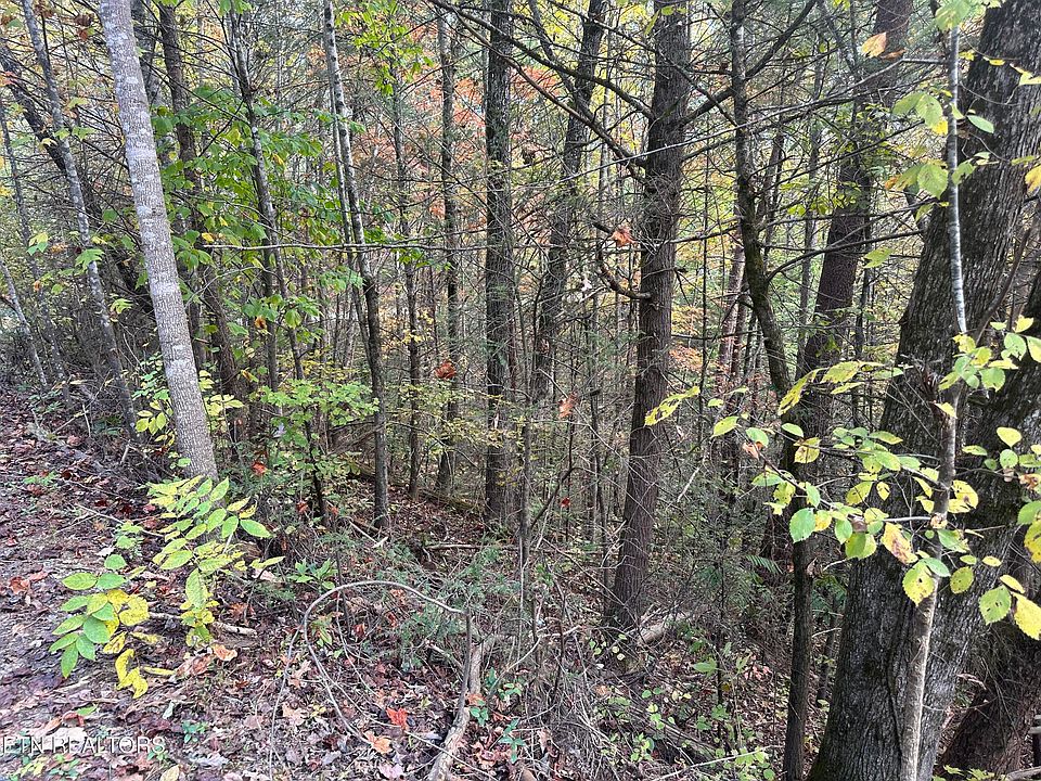 1st image of 1781 Rich Mountain Way